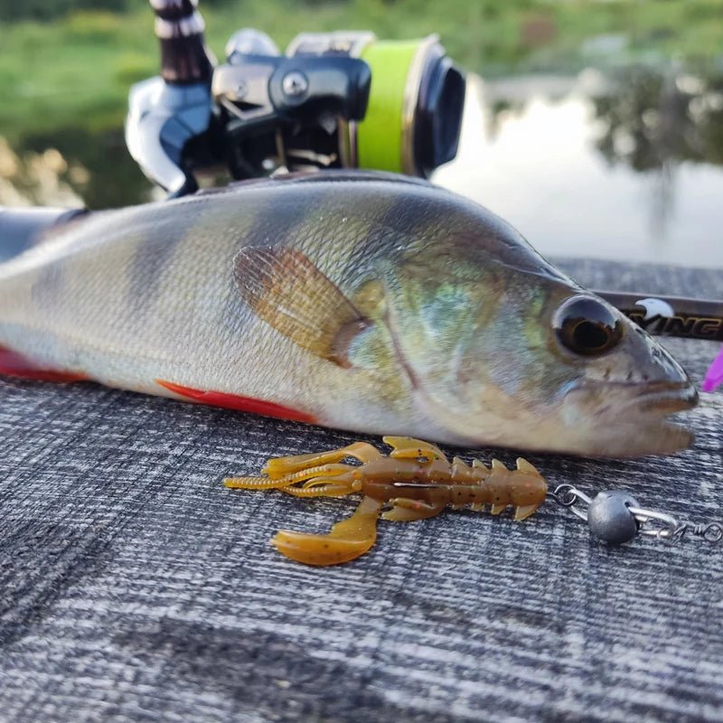 Lobster Bait