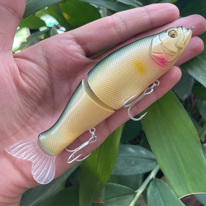 Large Swimbait
