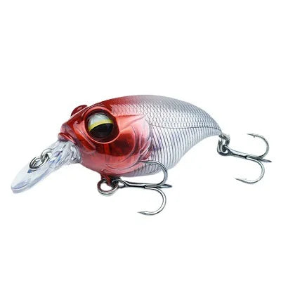 Bug Eye Crankbait