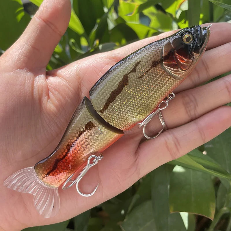Large Swimbait