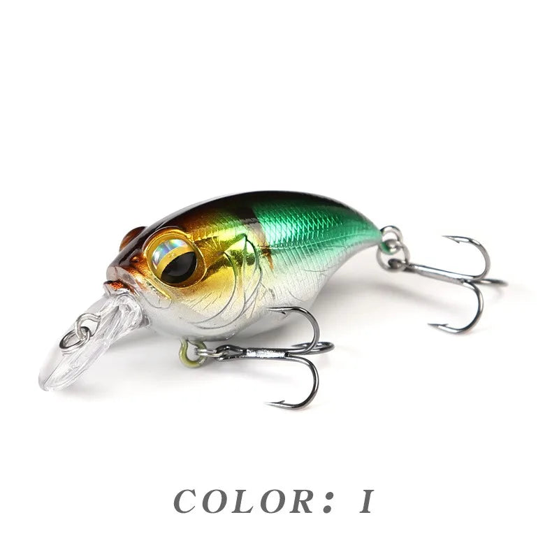 Bug Eye Crankbait