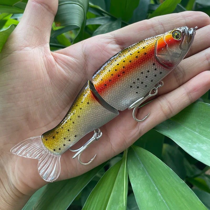 Large Swimbait