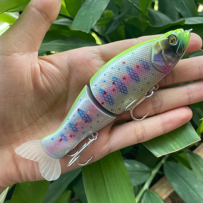 Large Swimbait