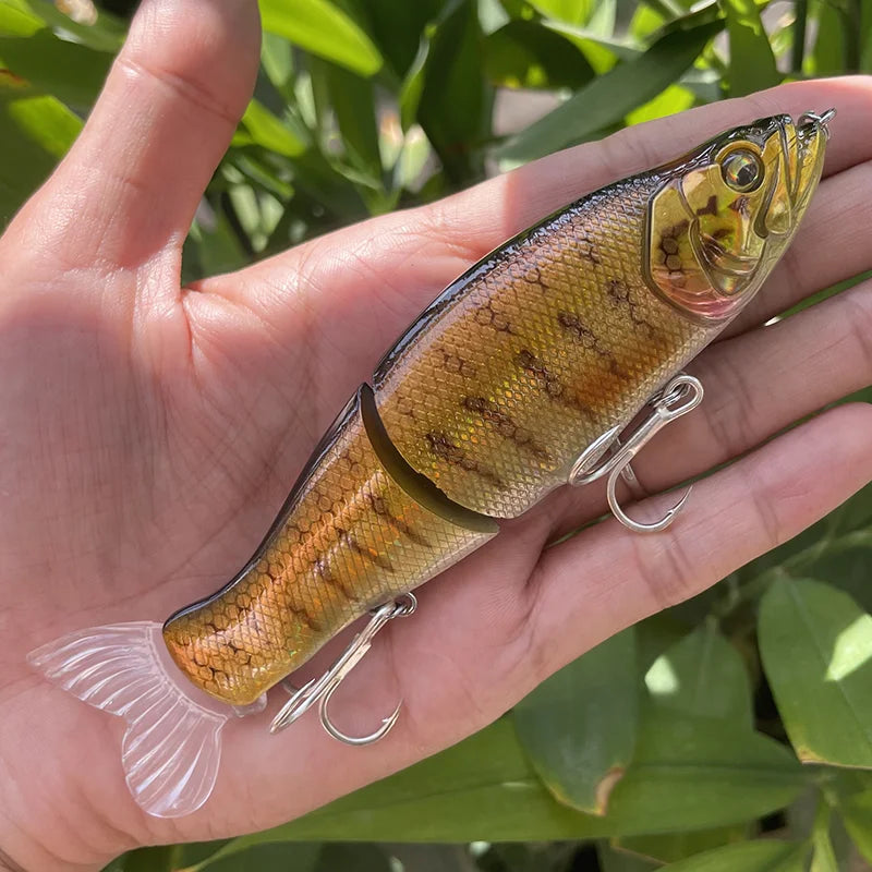 Large Swimbait