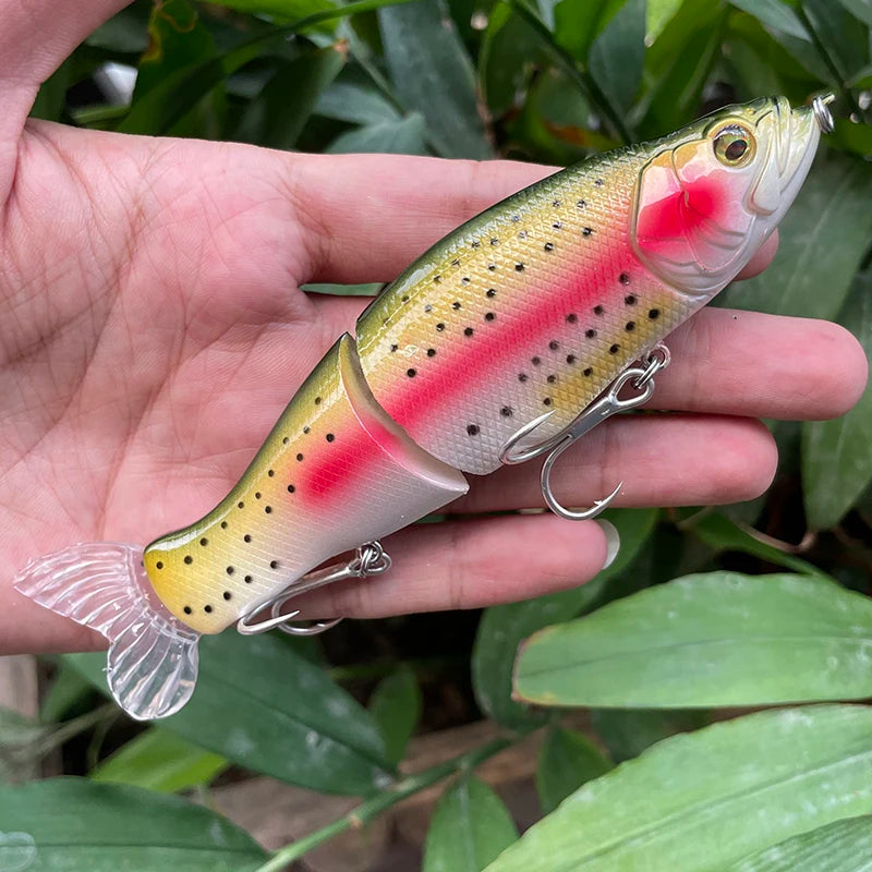 Large Swimbait